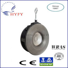 Multi-purpose with cast iron single door wafer swing check valve